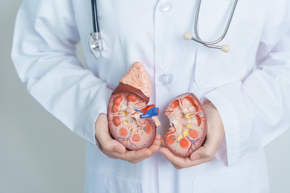 Litiasis renal en Jalisco: Tratamiento especializado para los cálculos renales